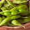 Thumbnail: Beans Soya (Fresh Soybean Pods)