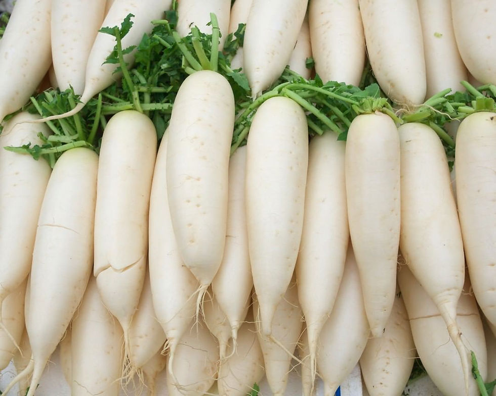 Thumbnail: Radish White
