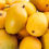 Thumbnail: Mango - Alphonsa