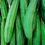 Thumbnail: Ridge Gourd (Peerkangai)