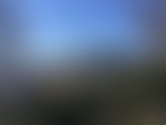 賑やかですよ