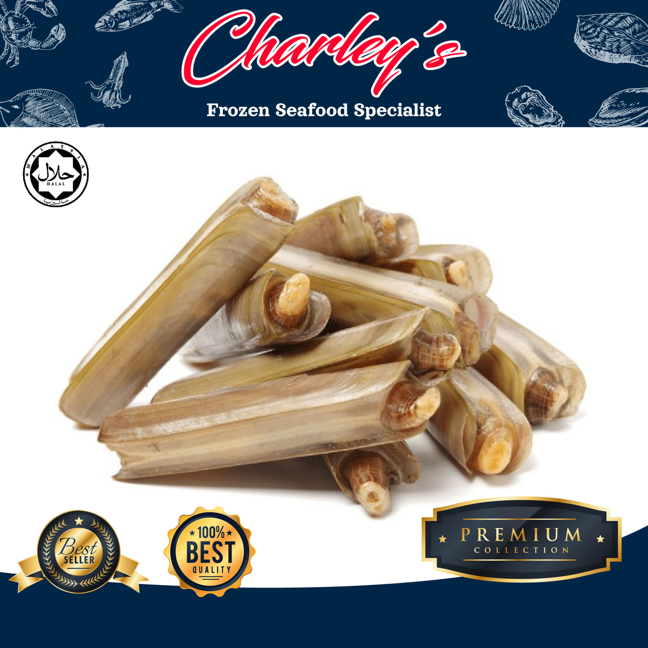 Bamboo Clam | Siput Buluh | Razor Clam | 竹炭