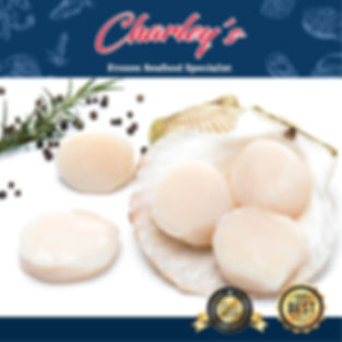 Hokkaido Big Scallop