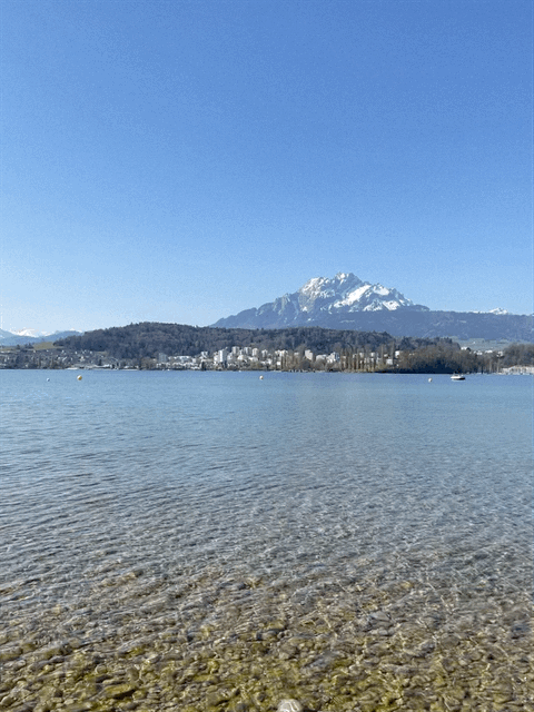IMG_3889.gif