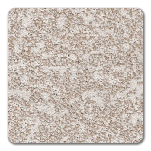REVOLUTION MILLS CARPET- Van Gogh (Canvas)
