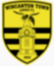 Wincanton Ladies v Ashton Ladies