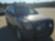 Thumbnail: 2005+ Nissan Xterra Xoskel Light Cage Rack
