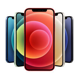 Hire iPhone 17 Pro Max with microphone and Ring LED lights