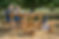 Becky Dog Park  (11 of 28).jpg