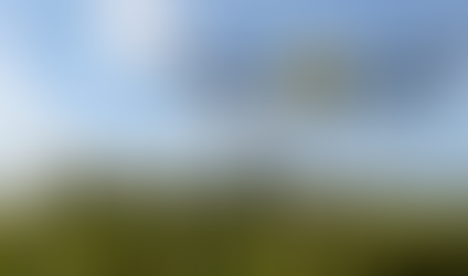 Drone Best practices in agriculture | Drone surveying and mapping services