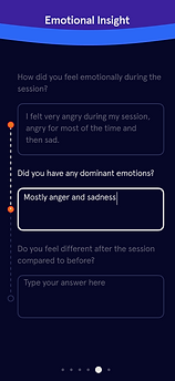 Insight Questionnaire Text Box Active HIFI.png