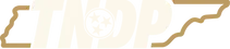 PrimaryLogo_Cream.webp