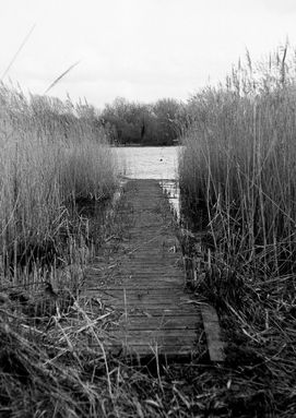 120 film Photina Reflex (4 of 6).jpg