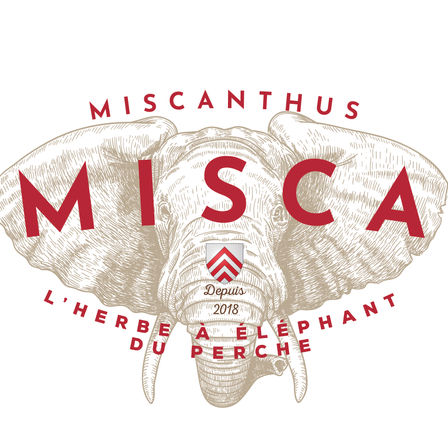 RENCONTRE AVEC : Misca