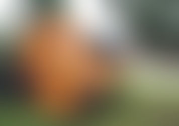 RENCONTRE AVEC : CAP CHALETS