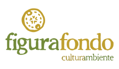 figura_fondo_05_color_transparente (2).png