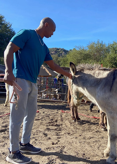 Former NFL Player Equine Assisted Therapy