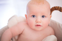 Maiya's Photography by Scott Wain
