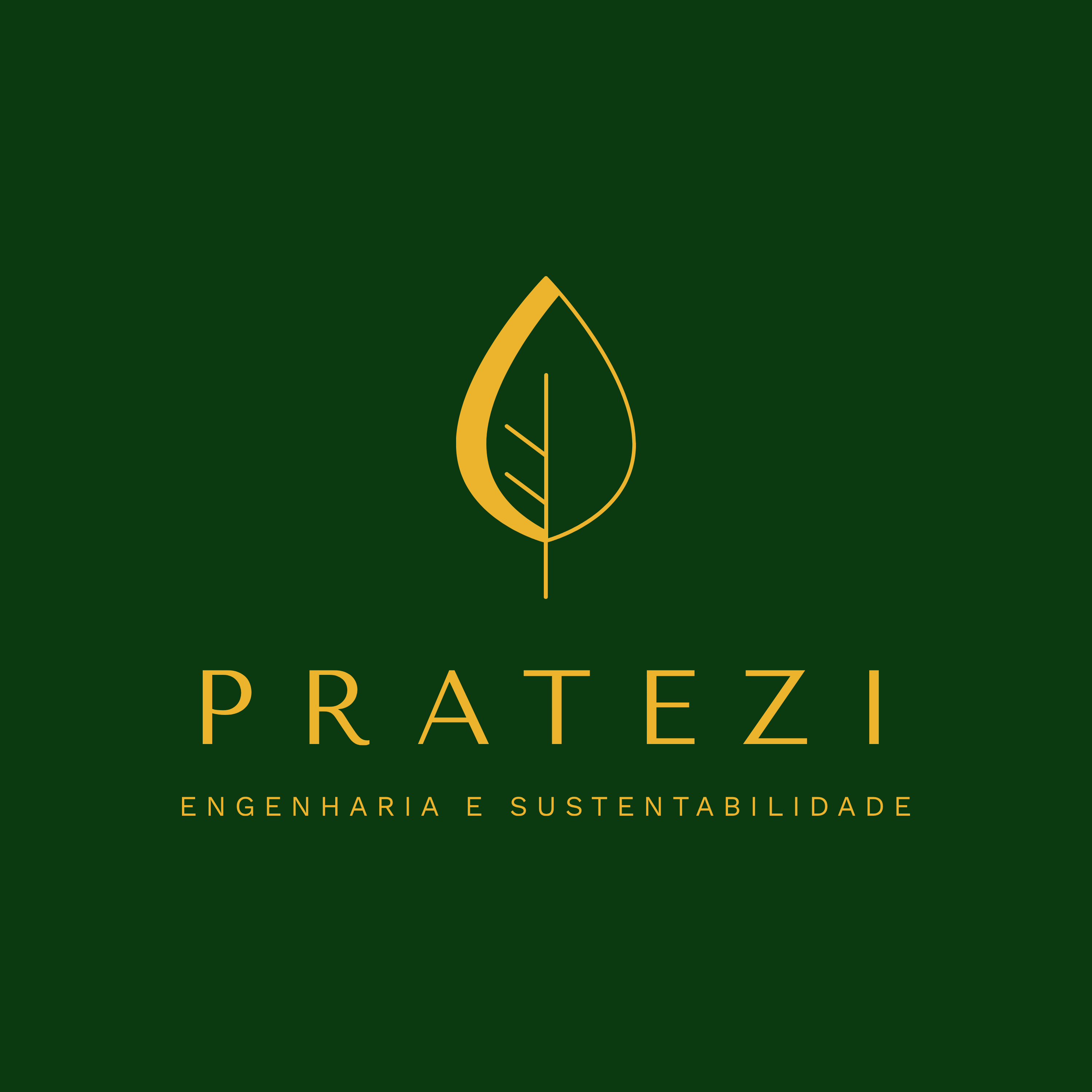 Foto do escritor: Pratezi Engenharia e Sustentabilidade