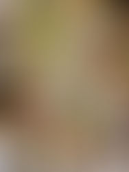 Here's how we celebrated our wedding at home during the pandemic in Germany.