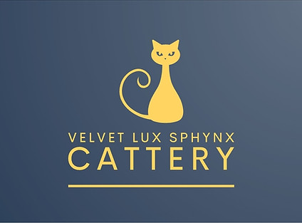 Velvet Lux Sphynx Cattery logo