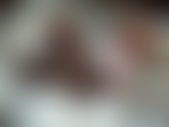 Understanding Sphynx Kitten Costs and Value: A Sphynx Kitten Price Guide