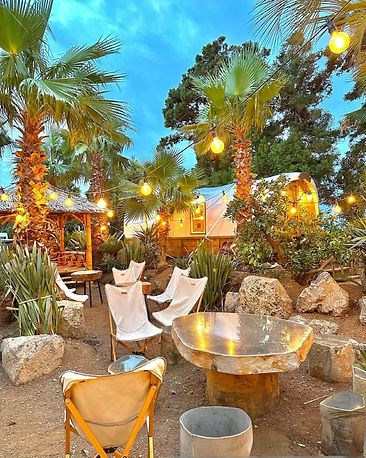 2890325586_ReqPv76W_ee76805a7c1bd44d1e4f