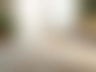 Efficient Carpet Cleaning Services Near You