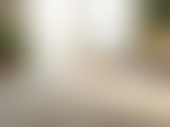 Efficient Carpet Cleaning Services Near You