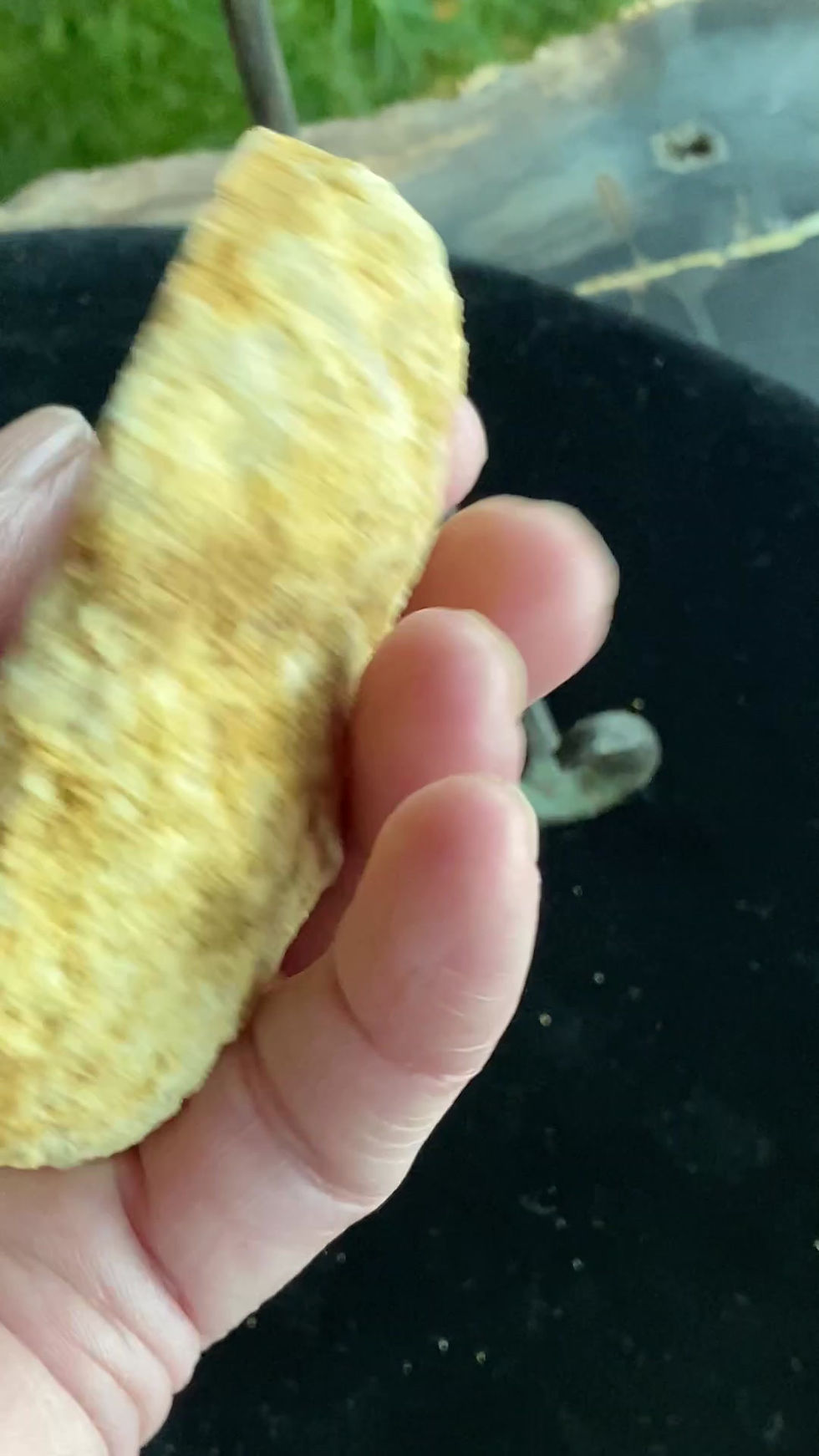 Thumbnail: Quartz Geode