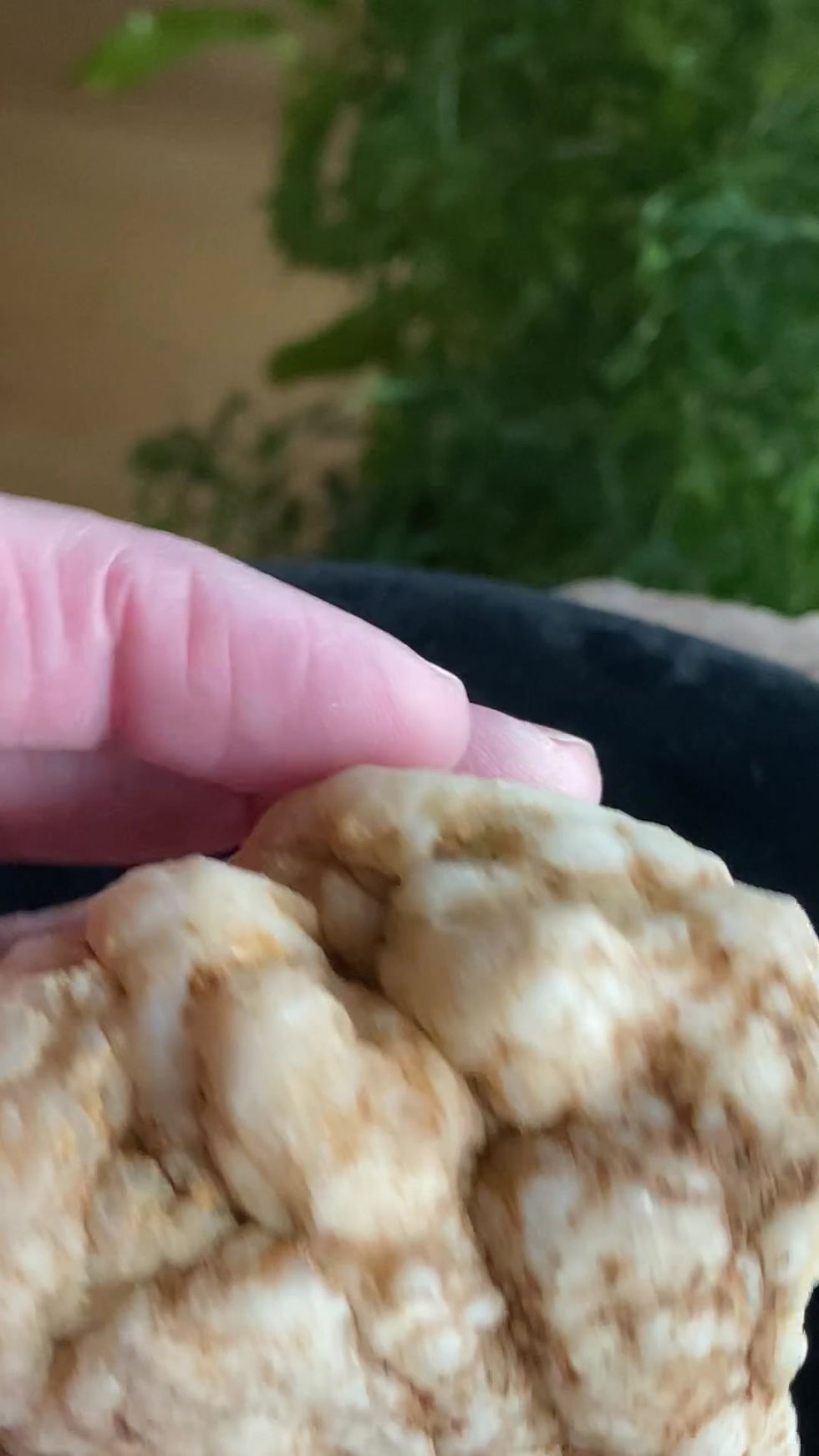 Thumbnail: Quartz Geode