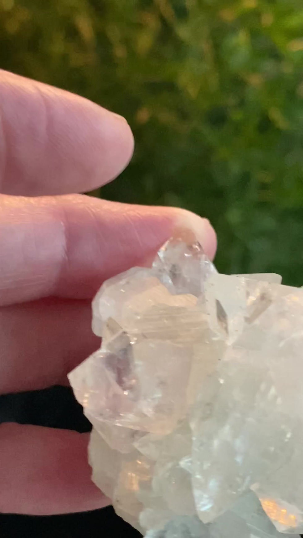 Thumbnail: Apophyllite Cluster