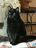 IMG_5463.jpeg