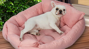 Tips and Types For Choosing The Right Dog Beds