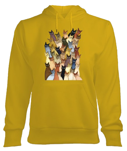 Küçük resim: Çerkes Kadın Hoodie Kapşonlu