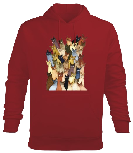 Thumbnail: Çerkes Erkek Hoodie Kapşonlu