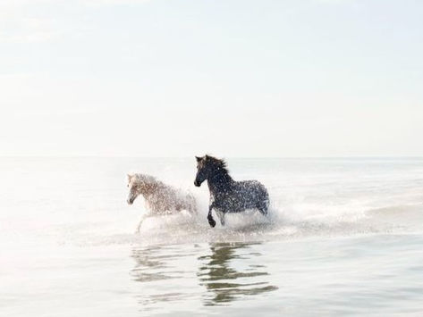 Skillnaden på twin flame & soulmate: hur vet jag om jag träffat någon av dem?