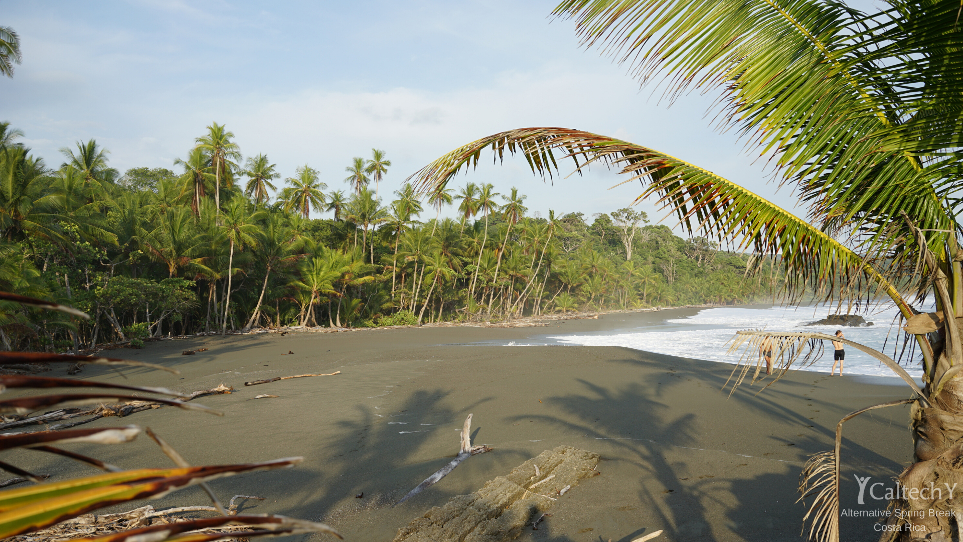 ASB Costa Rica Background 1