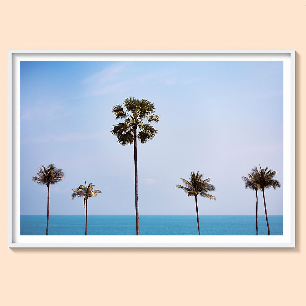Thumbnail: Palm Trees