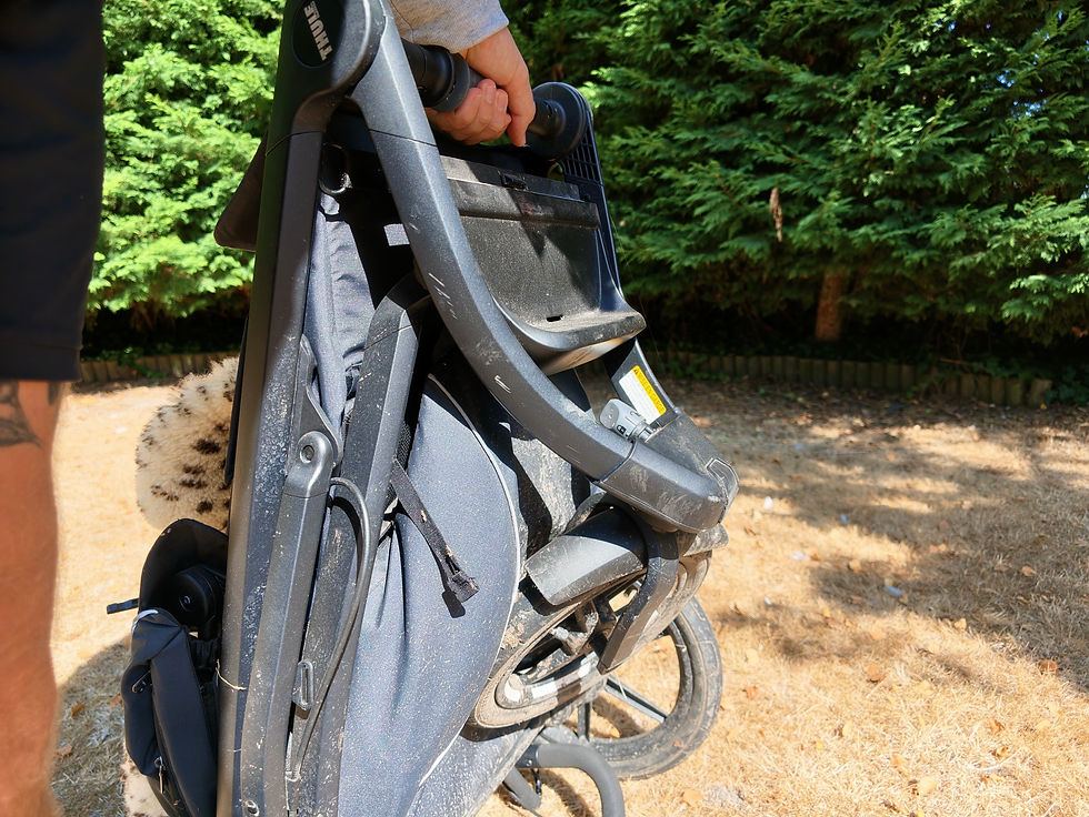 Person carries a folded black Thule child carrier outdoors on dry grass, with evergreen trees in the sunny background.