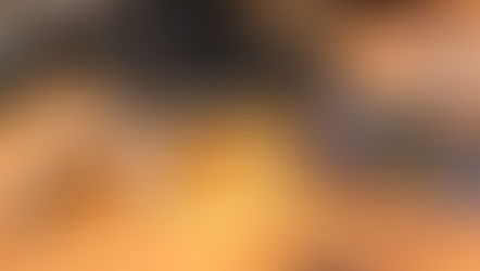 Oakley HTSN and Vanguard sunglasses are showcased on a wooden table, highlighting their modern design and vibrant lenses.