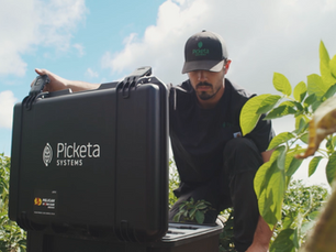 Picketa Systems' LENS™