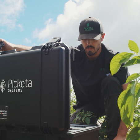 Le LENS™ de Picketa Systems