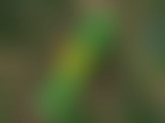 Managing Your Crops through Data Visualization, Maximizing Crop Yield through Plant Tissue Sampling