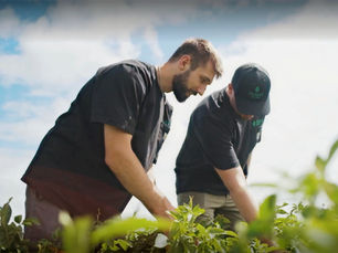 How can a Sample's Turnaround Time be a Differentiator in Agronomic Services