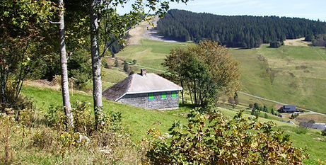 Em casa com Heidegger