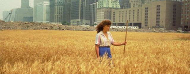 Uma ecologia para uma casa comum espiritual