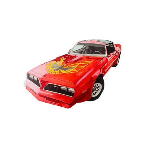 1981 Pontiac Firebird Turbo Trans Am