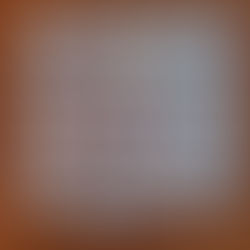 SEED SALE: Seed Packs 