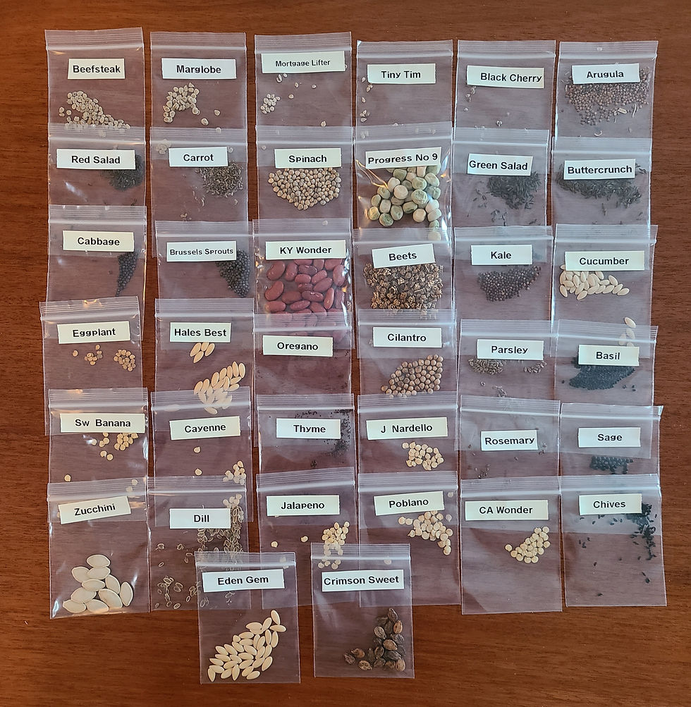 SEED SALE: Seed Packs 